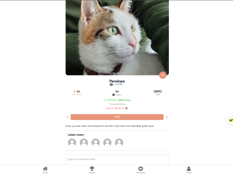 Penelope the cat - 1st place winner on PawVote